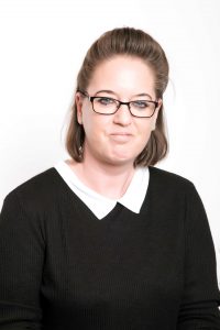 INSIGHT DATA TELE RESEARCHER